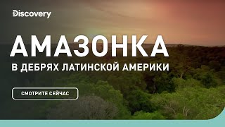 Амазонка  В дебрях Латинской Америки  Discovery Channel [upl. by Puff681]