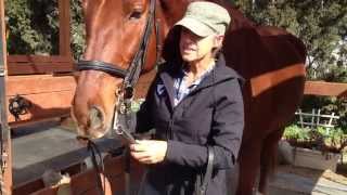 Fitting and Using a Double Bridle Part 1 [upl. by Hamlin]