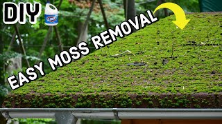 Remove Moss From Roof  DIY  2 Methods [upl. by Iharas]