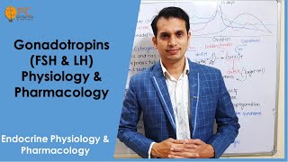 Endocrine Hormones part 7 Gonadotropins Hormones FSH amp LH Physiology amp Pharmacology [upl. by Atoiyanap]