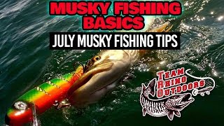 Musky Fishing Basics  July Musky Fishing Tips [upl. by Avrit20]