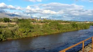 The Loop Tucson Rillito River Park [upl. by Watkins]