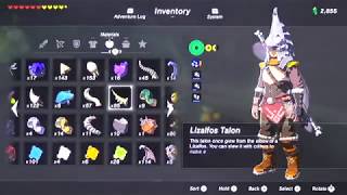 BotW117  Sand amp Snow Boots  Eighth Heroine amp Forgotten Sword Side Quests [upl. by Drahsar]