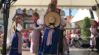 Swiss folk dance by children 1 [upl. by Henrie]