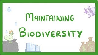 GCSE Biology  Maintaining Biodiversity 90 [upl. by Ahsital830]