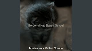 Uitstekend Slapende Katten  Geluiden [upl. by Gherardi746]