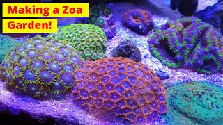 Making a Zoa Garden In My Nano Reef Tank [upl. by Wescott396]