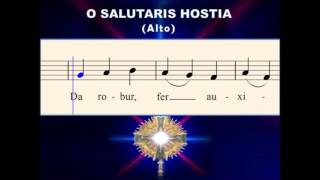 O28b O Salutaris Hostia Alto  for OLMGrand Choir [upl. by Vins162]