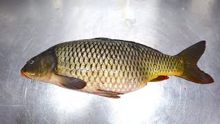 How to Fillet Score amp Fry a Carp  Common Carp [upl. by Hinman]