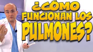 PULMONES ¿cómo funcionan  Cuerpo Humano 1 [upl. by Eldon112]