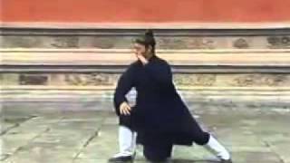 WUDANG TAICHI Quan 64 Forms by Wudang Master Tian Liyang [upl. by Osnerol]