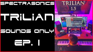 VLADAN  Spectrasonics Trilian  Electric Bass ep1  Sounds only [upl. by Haral]