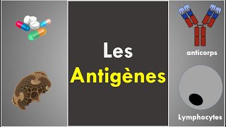 Les Antigènes [upl. by Aillimac]