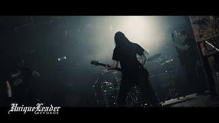 Ingested  Invidious OFFICIAL VIDEO [upl. by Baumann]