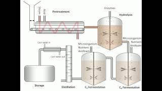 Process of Fermentation [upl. by Enirol]