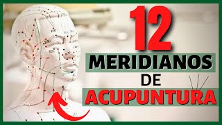 ☯ 12 MERIDIANOS o Canales de la ACUPUNTURA ☯ Qué son los Meridianos Energéticos y Cuál es su Función [upl. by Letitia]