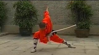 Wu Tang Collection  Shaolin Kung Fu Mystagogue [upl. by Alodee]