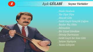 Aşık Gülabiİle Türküler [upl. by Iznyl271]