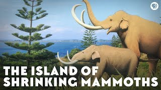 The Island of Shrinking Mammoths [upl. by Meg607]