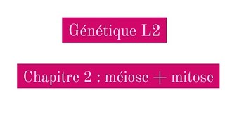 Génétique L2  méiose et mitose [upl. by Aicenev]