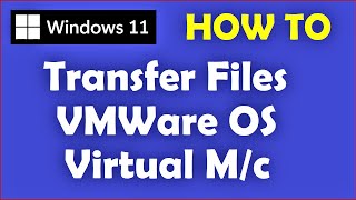 How to Copy  Transfer Files in VMware Workstation from Host OS  Windows 11  10 [upl. by Andrade362]