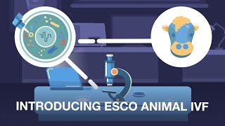 In vitro Fertilization IVF in Animals  Esco Medical [upl. by Assiren214]