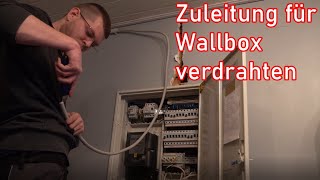 Wallbox im Zählerschrank anschließen ElektroM [upl. by Gahl]