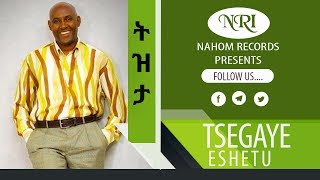 Tsegaye Eshetu Tizita ፀጋዬ እሸቱ ትዝታ Ethiopian Music [upl. by Dleifyar505]