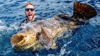 Giant Grouper Fishing Battle [upl. by Ahseined638]