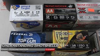 Understanding Shotgun Ammo [upl. by Prent]