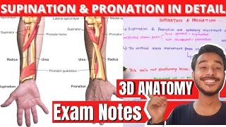 Supination and pronation of hand Anatomy [upl. by Aimat568]