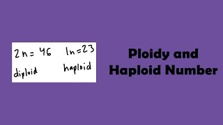 Ploidy and Haploid Number [upl. by Kolb]