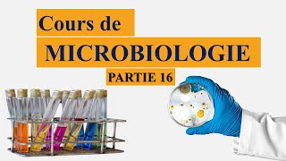 Cours de microbiologie partie 16 généralités sur les milieux de culture [upl. by Hallagan]