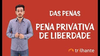 Das Penas  Pena Privativa de Liberdade [upl. by Elisabet]