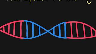 Introduction to Transposons [upl. by Nnaylrebmik657]