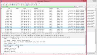 Investigating Network Loops [upl. by Blondell]