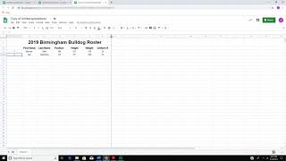 Google Sheets  Team Roster [upl. by Swane]