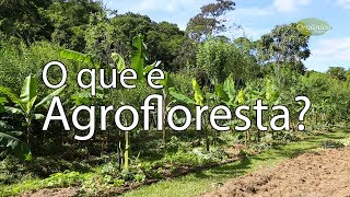 O que é Agrofloresta [upl. by Oiluj]