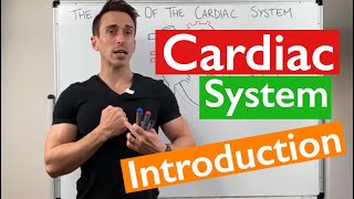 Cardiac Medical Coding Part 1 Basics and Terminology [upl. by Hendrik]