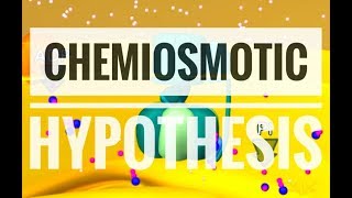 Chemiosmotic Hypothesis  ATP synthesis [upl. by Indihar]