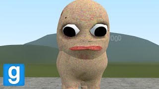 FORGOTTEN BABY BUT HES CHONKY  Garrys mod Sandbox [upl. by Letnom747]