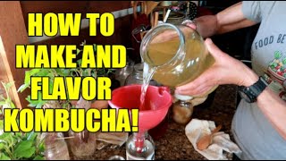 KOMBUCHA FOR DUMMIES  HOW TO MAKE AND FLAVOR [upl. by Favin]