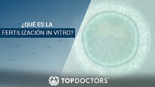 ¿Qué es la fertilización In Vitro [upl. by Anole]