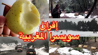 مدينة إفران سويسرا المغربية Ifran [upl. by Jerry124]