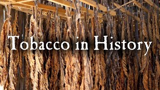 Growing Tobacco In Early America [upl. by Anelehs]