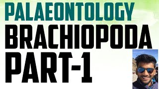 Geology palaeontology lecture series brachiopoda [upl. by Obeded]