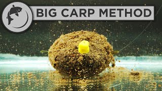 How To Fish The Method Feeder For BIG CARP [upl. by Irim4]