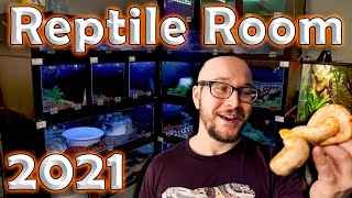 The NEW Reptile Room Tour 2021  Over 75 Reptiles and Their Enclosures [upl. by Balch]