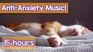 Calming Music for Cats with Anxiety Deep Soothing Music for Anxious ill and Stressed Cats 2018 [upl. by Koziara]