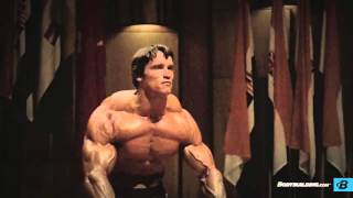 Arnold Beast Old School Bodybuilding Motivaton [upl. by Irtimed]